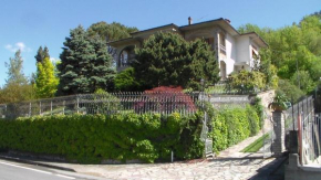 Matilde's House